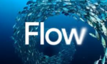 Google Flow AI workflow training