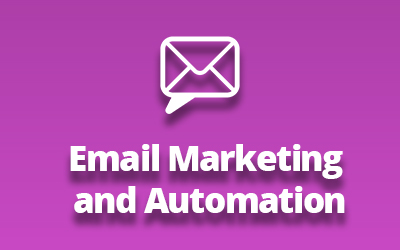 Email Marketing And Automation training for Word press Training for Digital Marketing for Professionals