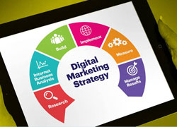 Digital Marketing Strategy for Word press Training for Digital Marketing for Professionals